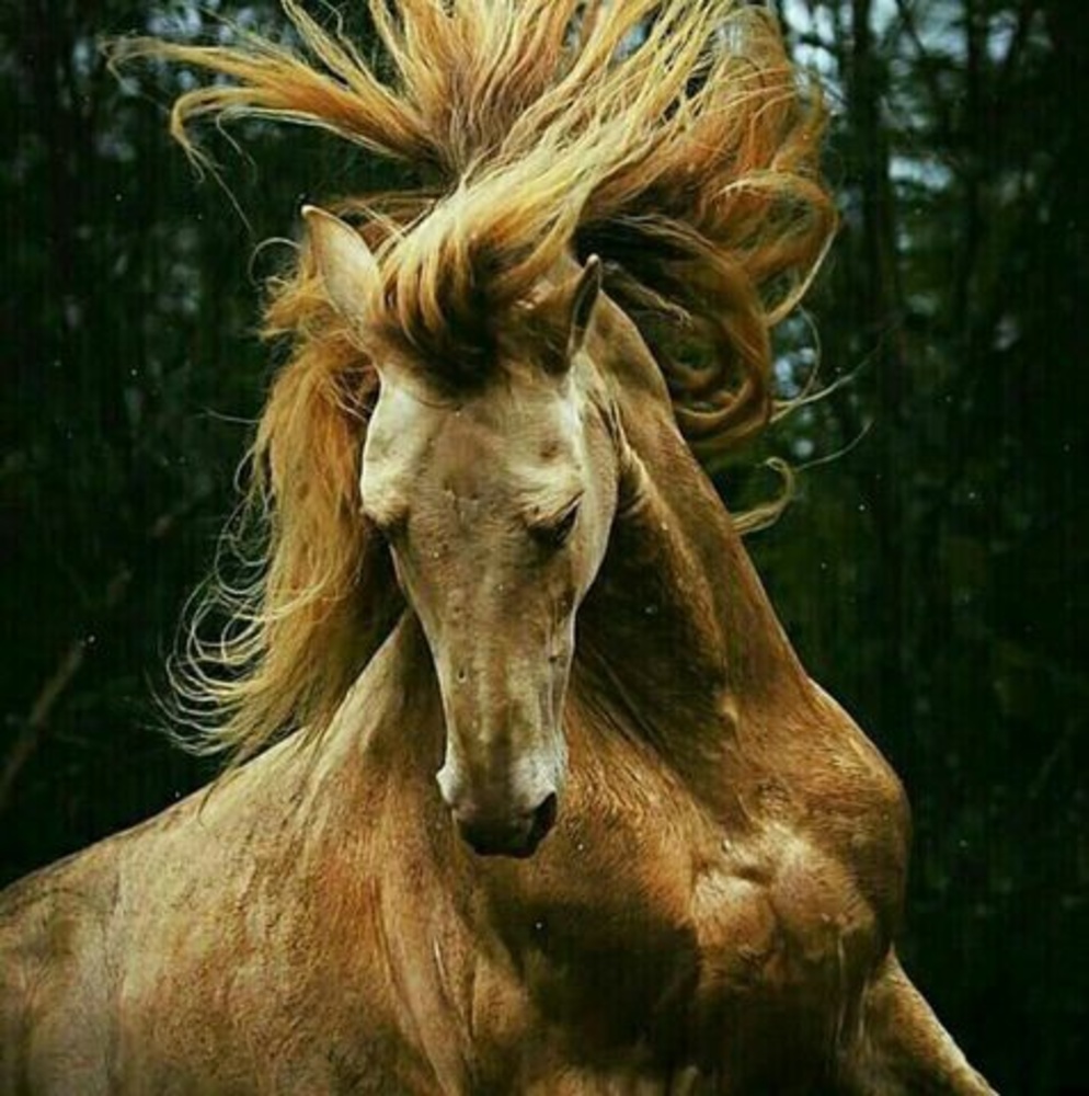 Meet your Posher, Moreno